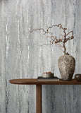 35160 Plaster Look Industrial Gray Wallpaper