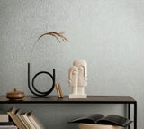 36461 Whisper Uni Plaster finish Gray Wallpaper