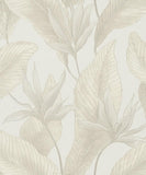 36462 Whisper Nature Floral Beige Wallpaper