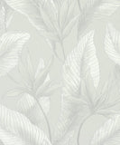 36463 Whisper Nature Floral Grey Wallpaper