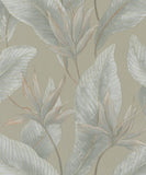 36465 Whisper Nature Floral Beige Grey Wallpaper