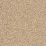 366090 Dov Neutral Cork Print Wallpaper