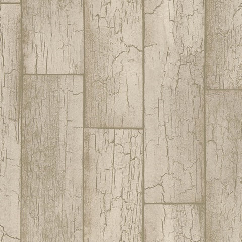 369023 Esmee Taupe Wood Wallpaper