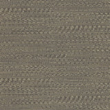 376037 Takamaka Brown Texture Wallpaper