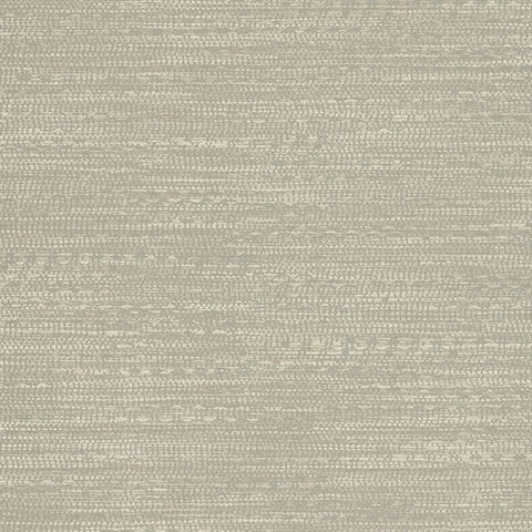 376040 Takamaka Beige Texture Wallpaper