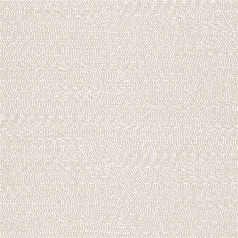 376041 Takamaka Champagne Texture Wallpaper