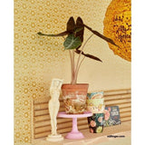 383570 Rice 2 Deluxe Geometric Floral Design Wallpaper 