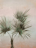 391564 Durango Palm Ombre Wall Mural
