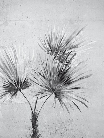 391567 Durango Palm Greyscale Wall Mural