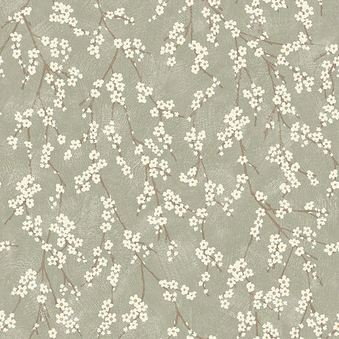 3978 Alice Sage Wallpaper