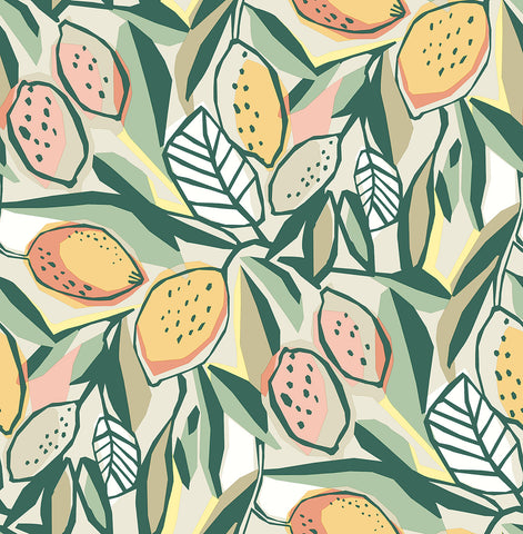 4014-26419 Meyer Peach Citrus Wallpaper