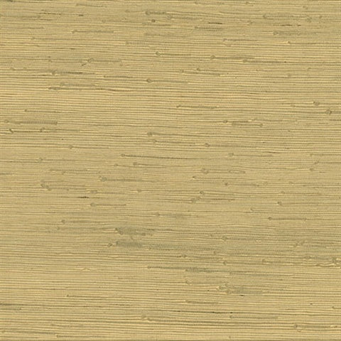 4018-0021 Shan Light Green Grasscloth Wallpaper