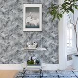 4019-86476 Toula Charcoal Abstract Wallpaper