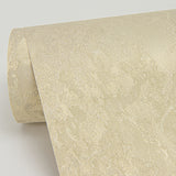 4058-21762 Francesca Gold Texture Wallpaper