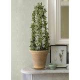 4058-24812 Angelina Light Yellow Moire Wallpaper