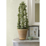 4058-24813 Angelina Cream Moire Wallpaper