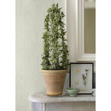 4058-24814 Angelina White Moire Wallpaper