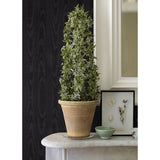 4058-24819 Angelina Black Moire Wallpaper