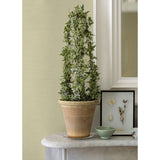 4058-24851 Aida Light Yellow Horizontal Silk Wallpaper