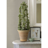 4058-24853 Aida Beige Horizontal Silk Wallpaper