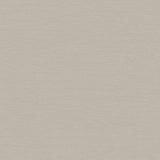 4058-24853 Aida Beige Horizontal Silk Wallpaper