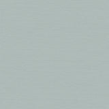 4058-24856 Aida Light Blue Horizontal Silk Wallpaper