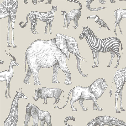 4060-139270 Kenji Taupe Safari Wallpaper