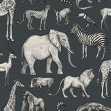 4060-139272 Kenji Navy Safari Wallpaper