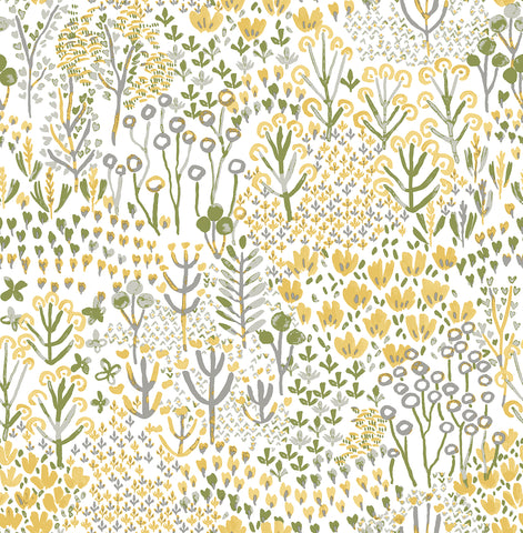 4081-26348 Chilton Yellow Wildflowers Wallpaper