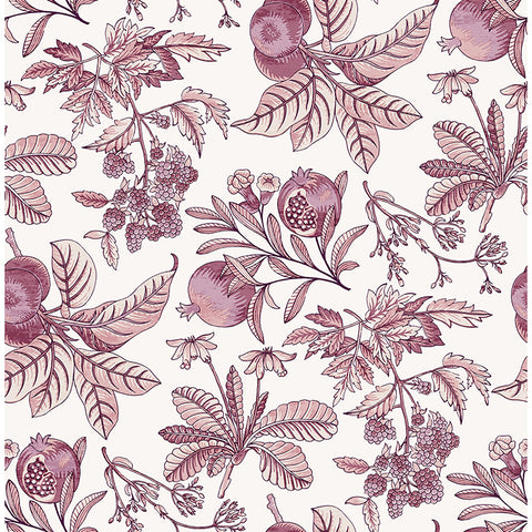 4120-26815 Cecilia Purple Fruit Wallpaper
