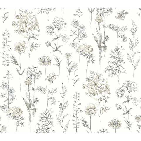 4134-72501 Bergamot Light Grey Wildflower Wallpaper