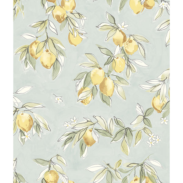 4134-72508 Lemonade Aqua Citrus Wallpaper – wallcoveringsmart