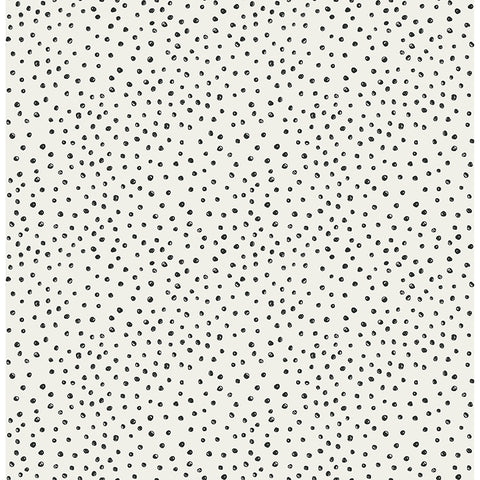 4135-27302 Cassie Black Petite Polka Wallpaper