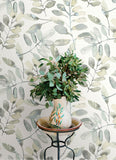 4169-13905 Pinnate Grey Leaves Wallpaper