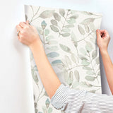 4169-13909 Pinnate Mint Leaves Wallpaper