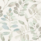 4169-13909 Pinnate Mint Leaves Wallpaper