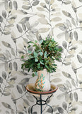 4169-13910 Pinnate Charcoal Leaves Wallpaper