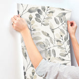 4169-13910 Pinnate Charcoal Leaves Wallpaper