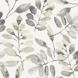 4169-13910 Pinnate Charcoal Leaves Wallpaper