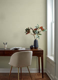4169-27611 Agave Neutral Faux Grasscloth Wallpaper