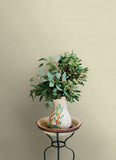 4169-27611 Agave Neutral Faux Grasscloth Wallpaper