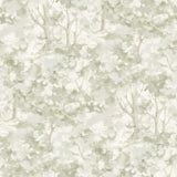  4169-83109 Thicket Sage Forest Wallpaper