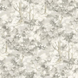 4169-83110 Thicket Charcoal Forest Wallpaper
