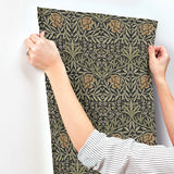 4171-82048 Oxford Union Black Floral Vines Wallpaper