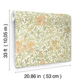 4171-82049 Iris Light Green Wild Gardens Wallpaper
