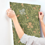 4171-82050 Iris Green Wild Gardens Wallpaper