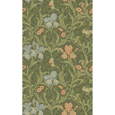 4171-82050 Iris Green Wild Gardens Wallpaper
