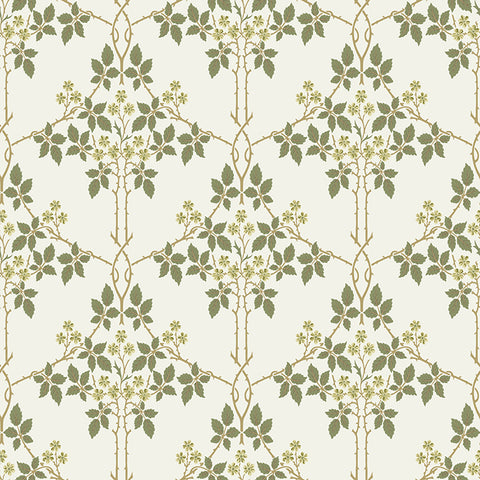 4171-82053 Blackberry Chartreuse Vine Trellis Wallpaper