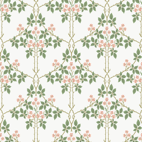 4171-82054 Blackberry Pink Vine Trellis Wallpaper