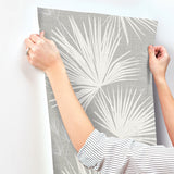 4172-27488 Hatteras Grey Palms Wallpaper